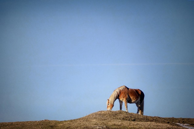 Irish hills and dairy farm landscape with green pastures
