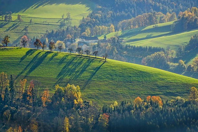 Irish farm pasture with hedgerows and rolling green hills